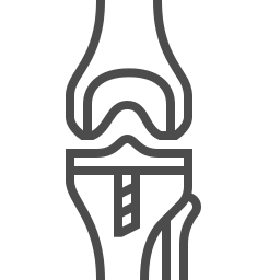 Arthroplasty Consultation